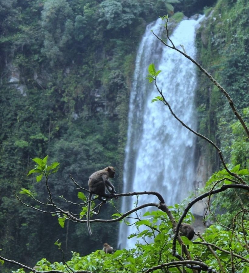 kera grojogan sewu