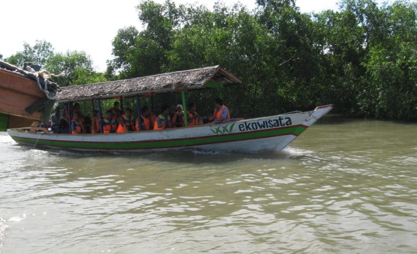 mangrove wonorejo