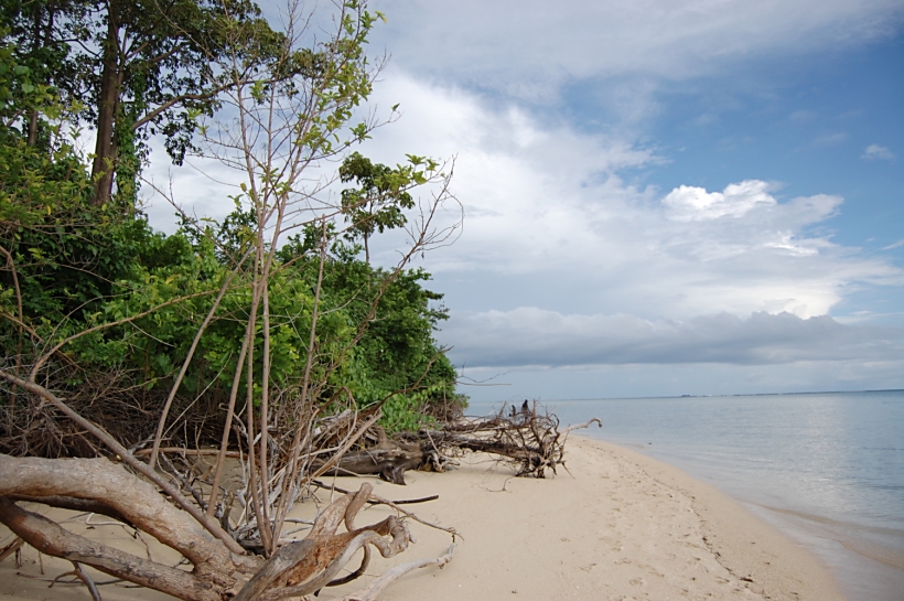 pantai