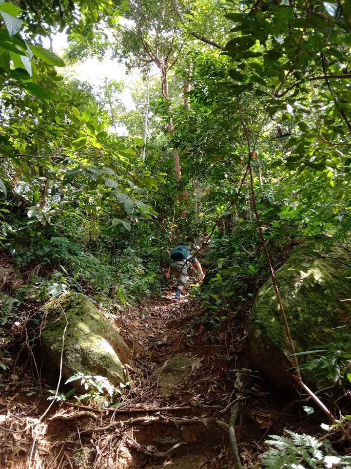 Bukit Nenek