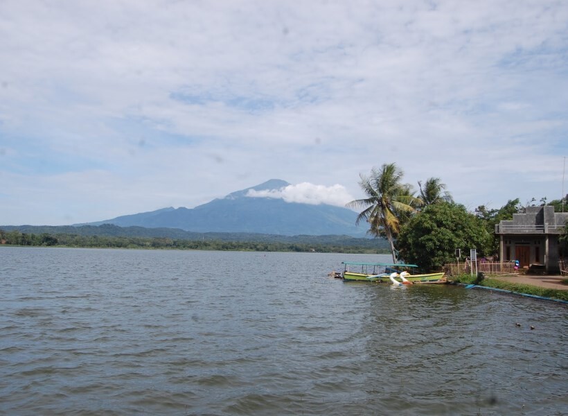 setu patok