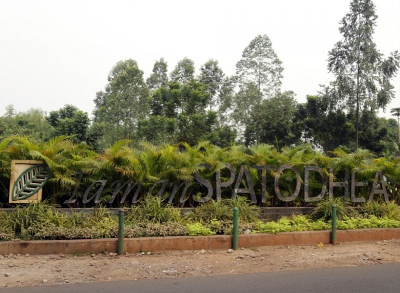 taman spathodea