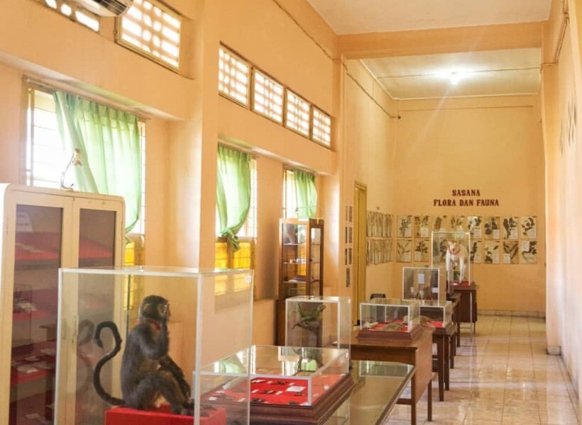 museum kesehatan