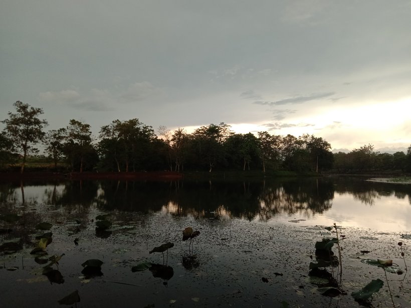 Warung Tepi Danau