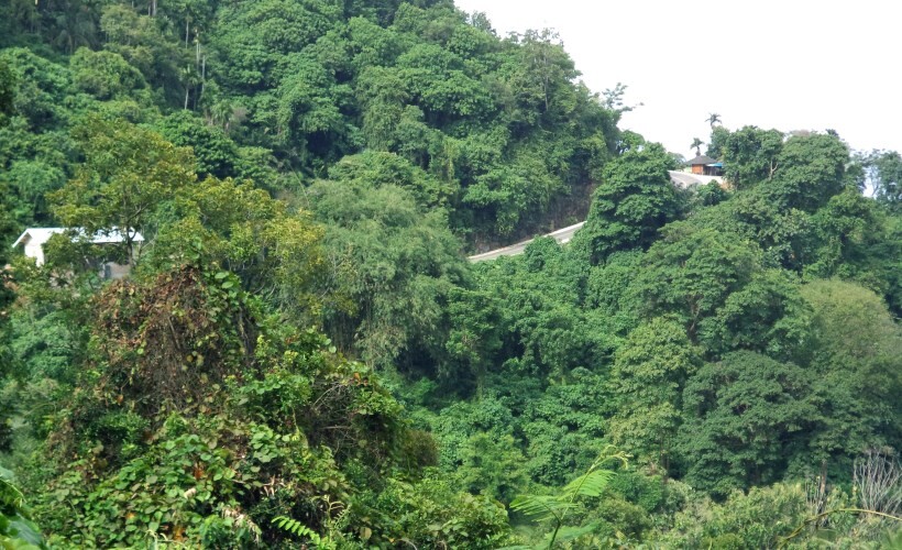 bukit gado-gado